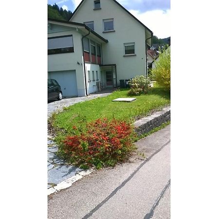Appartamento Haus Marion Todtnau Esterno foto