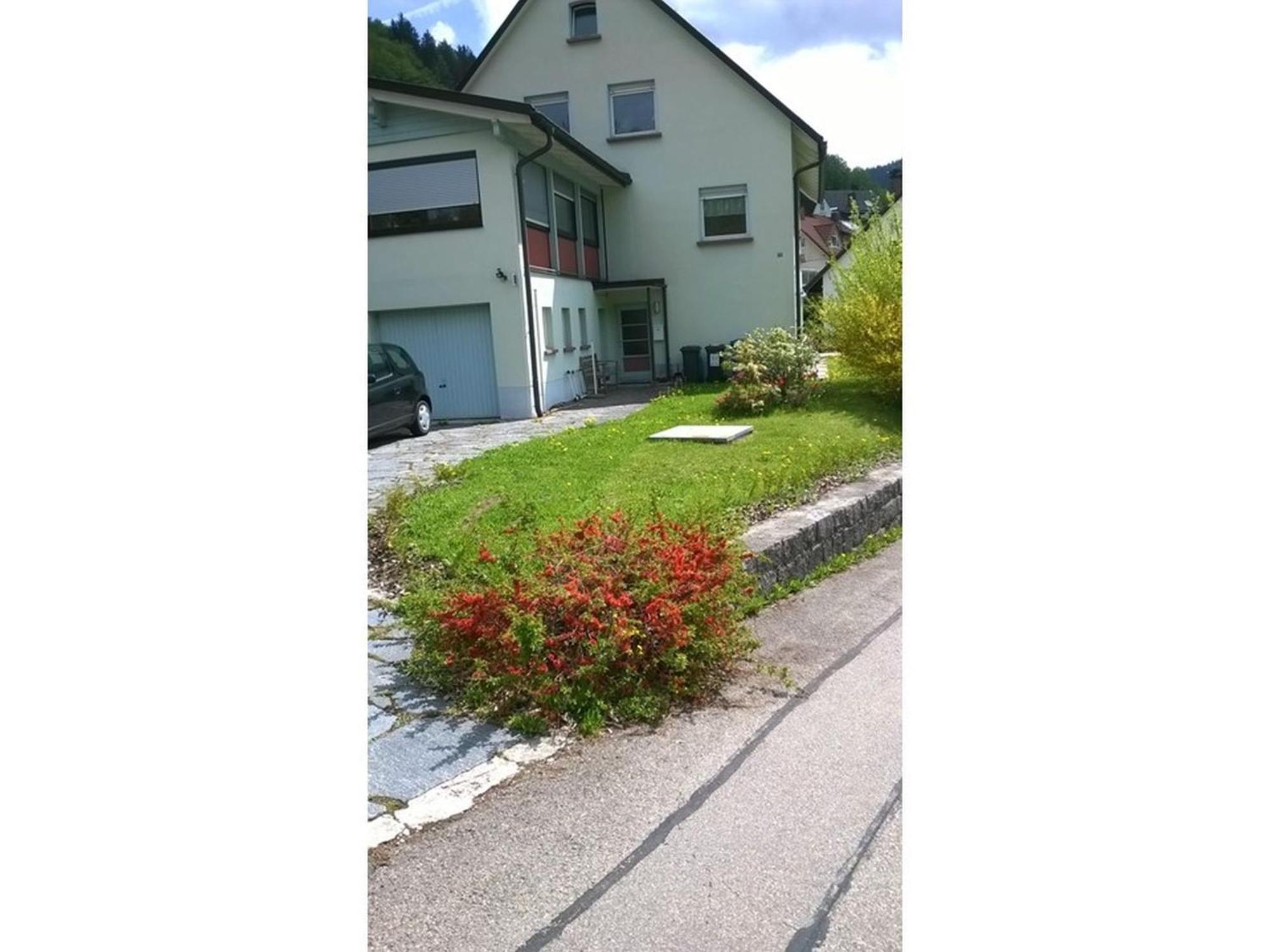 Appartamento Haus Marion Todtnau Esterno foto