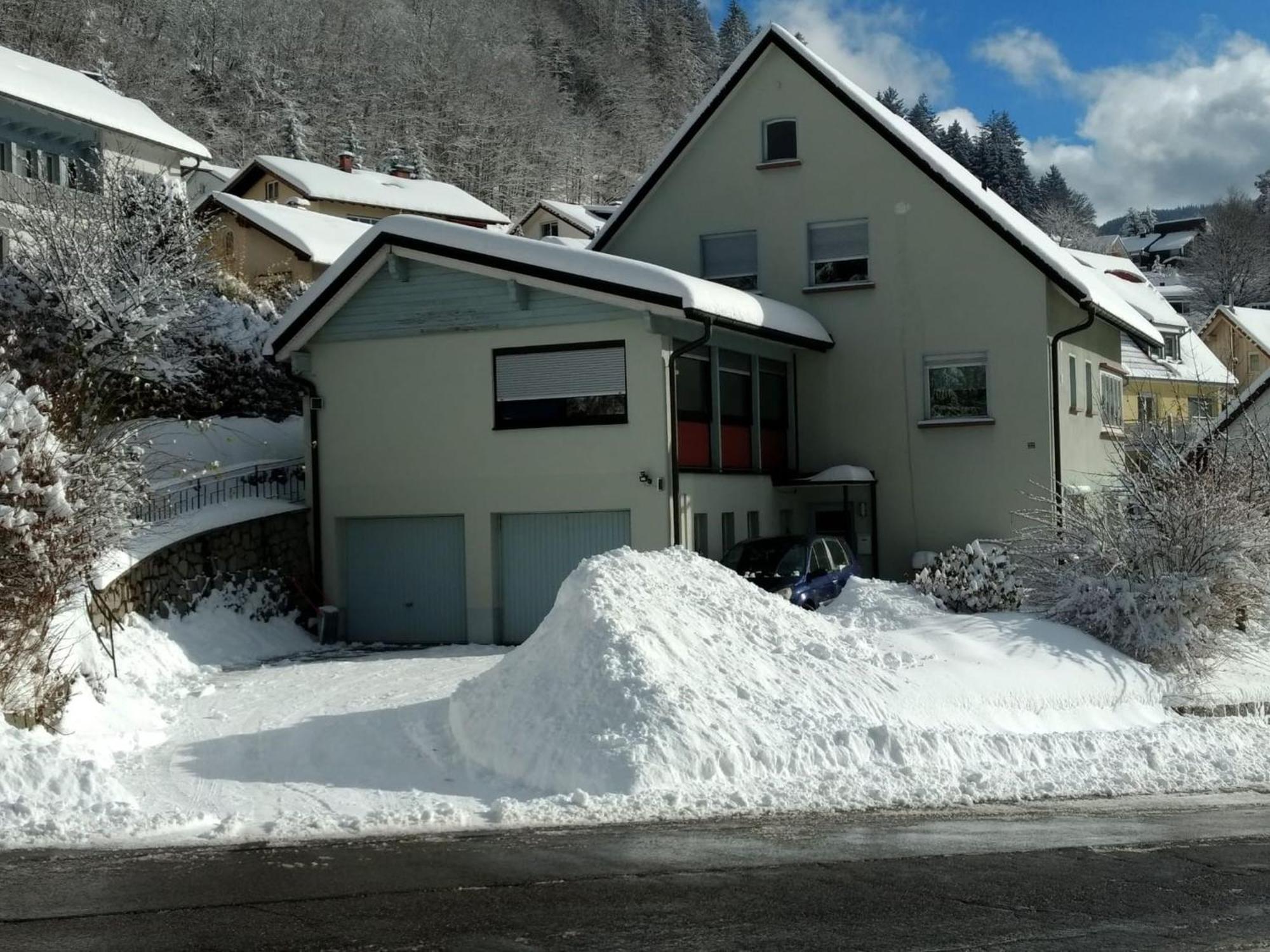 Appartamento Haus Marion Todtnau Esterno foto